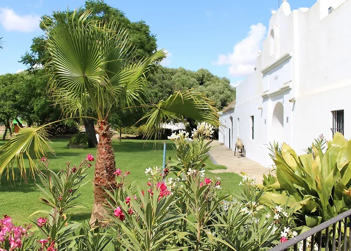 Cortijo El Indiviso